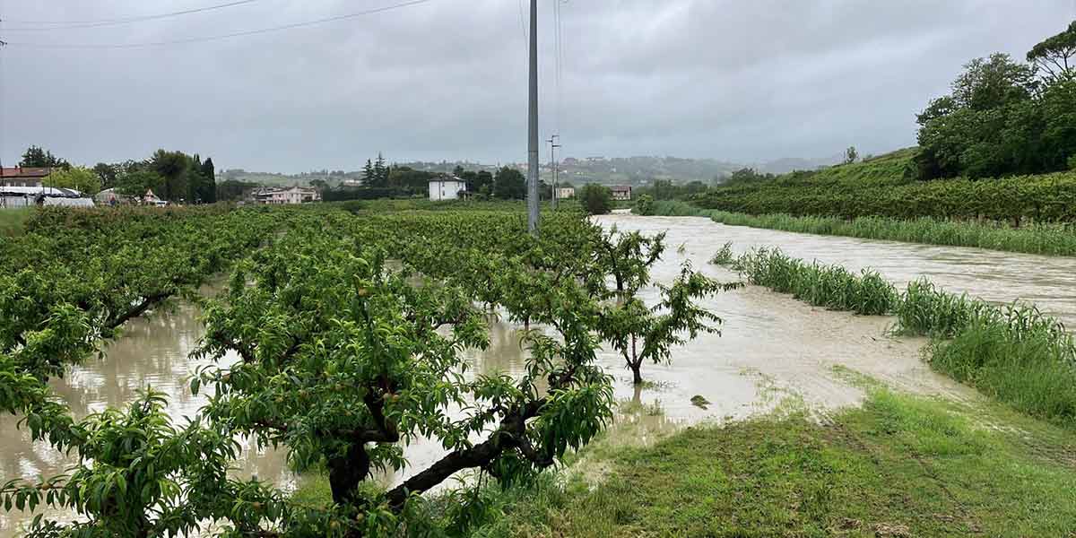 L’alluvione affonda l’ortofrutta in Emilia-Romagna
